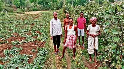 तेनुघाट में आंधी और ओलावृष्टि से सब्जी की खेती बर्बाद