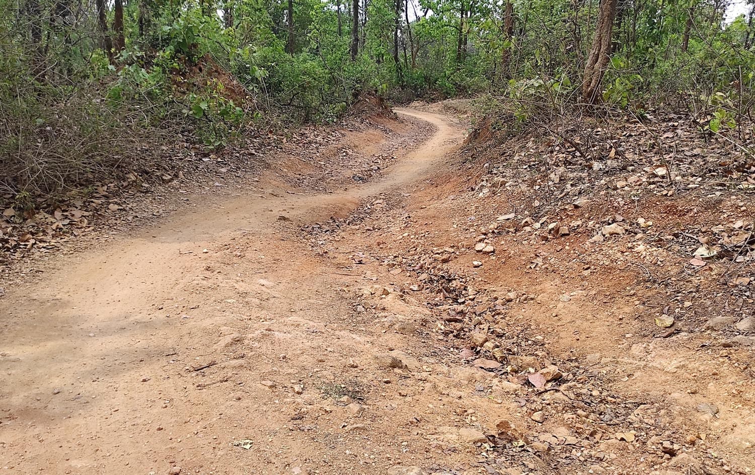 मयूरहंड के करकरा गांव का नहीं हुआ समुचित विकास