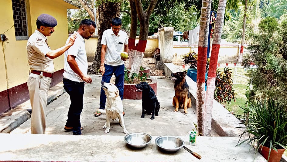 जसीडीह रेलवे स्टेशन के बाहर बनेगा डॉग कैनल, रहेंगे तीन डॉग