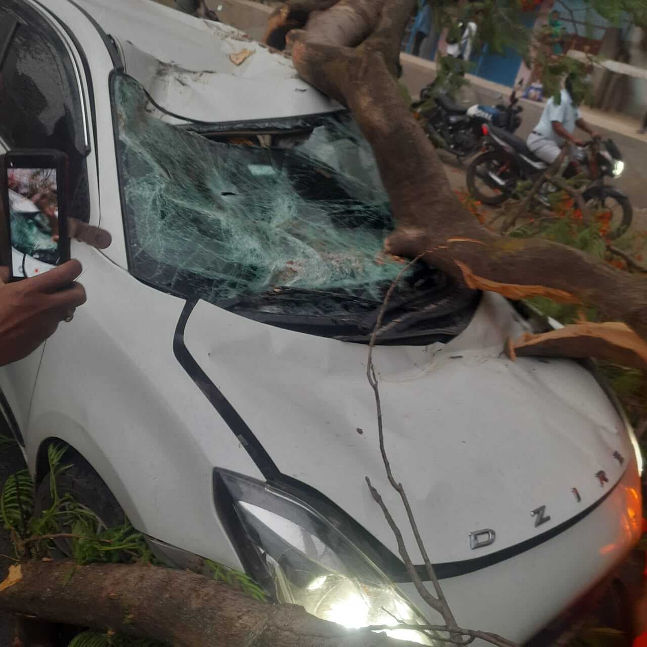 आंधी में सड़क पर गिरा विशाल पेड़, तीन लोग घायल, कार समेत कई वाहन क्षतिग्रस्त