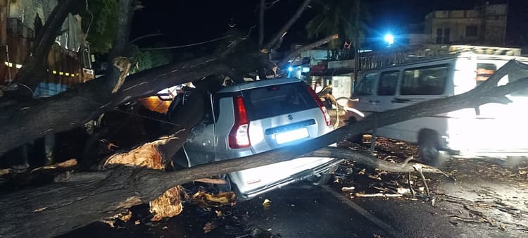 तेज आंधी-बारिश से तबाही, सड़कों पर गिरे दर्जनों पेड़, लगा जाम