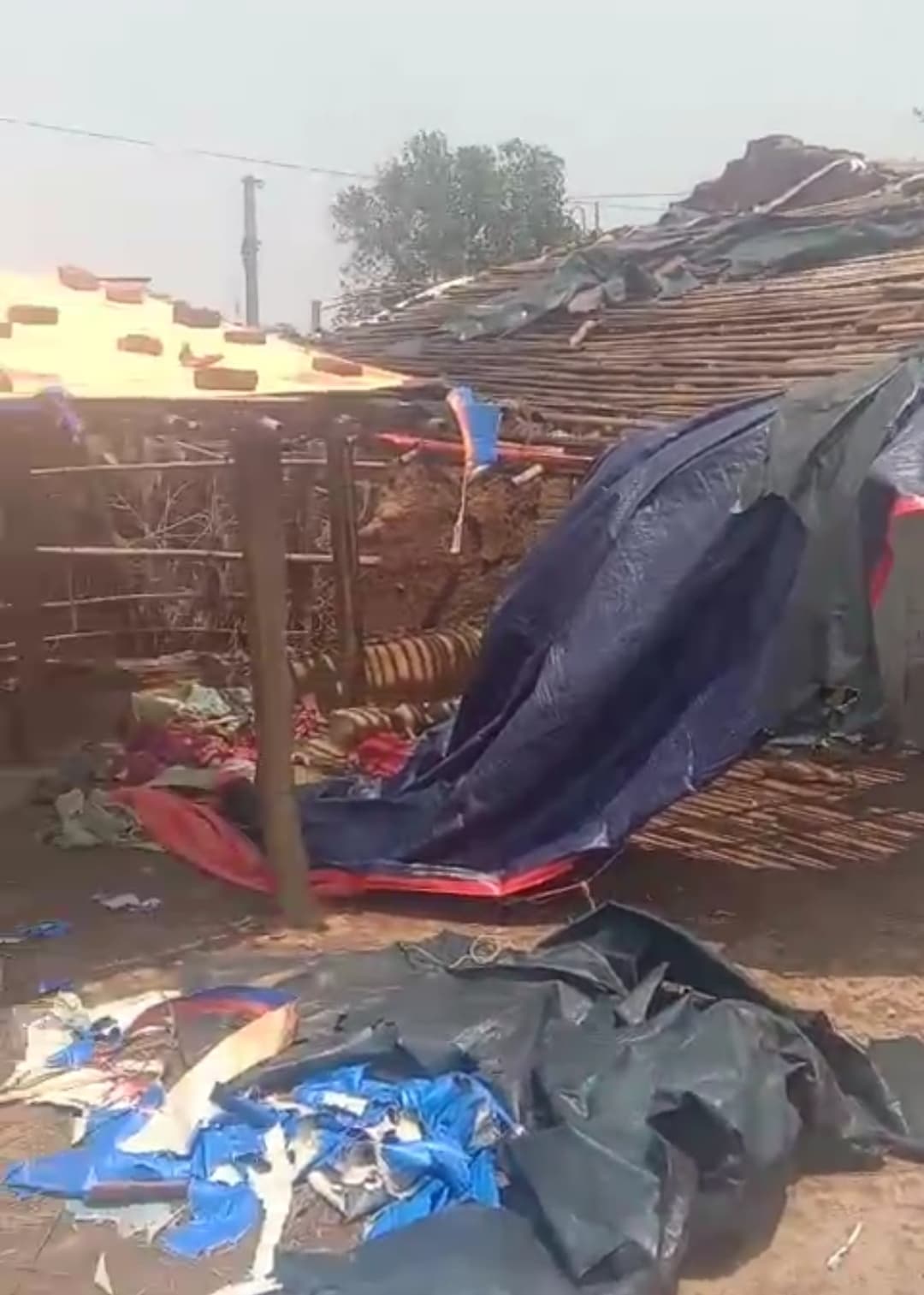 मोहनपुर में कई जगहों पर उखड़े पेड़