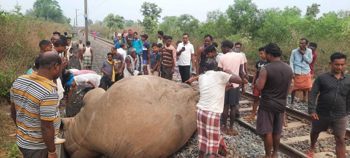 चांडिल में ट्रेन से कट कर हाथी की मौत, इंजन भी क्षतिग्रस्त