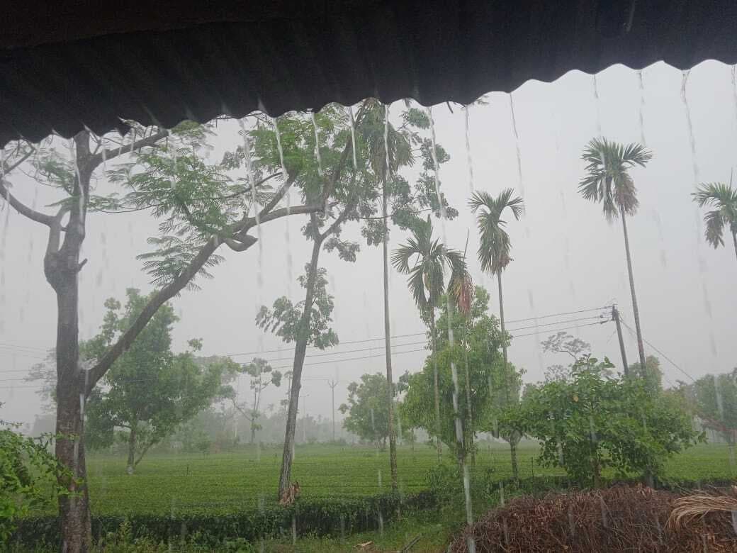 बारिश से किसानों के चेहरे पर लौटी मुस्कान