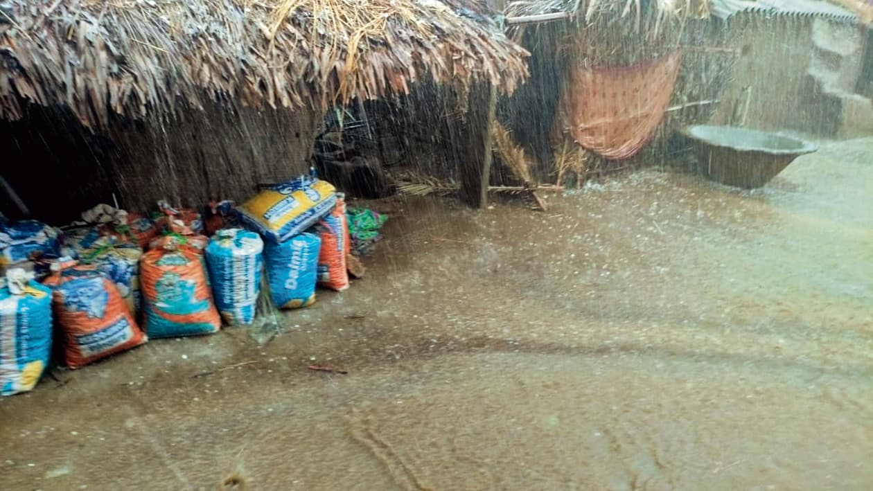 Jamui News : बारिश ने बदला मौसम का मिजाज, गर्मी से मिली राहत, कूल-कूल हुआ मौसम