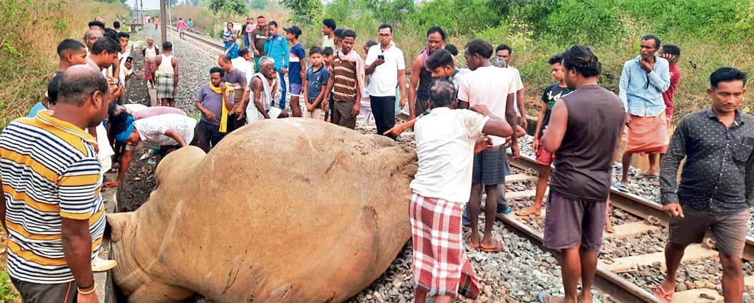 चांडिल में ट्रेन से कट कर हाथी की मौत, इंजन भी क्षतिग्रस्त