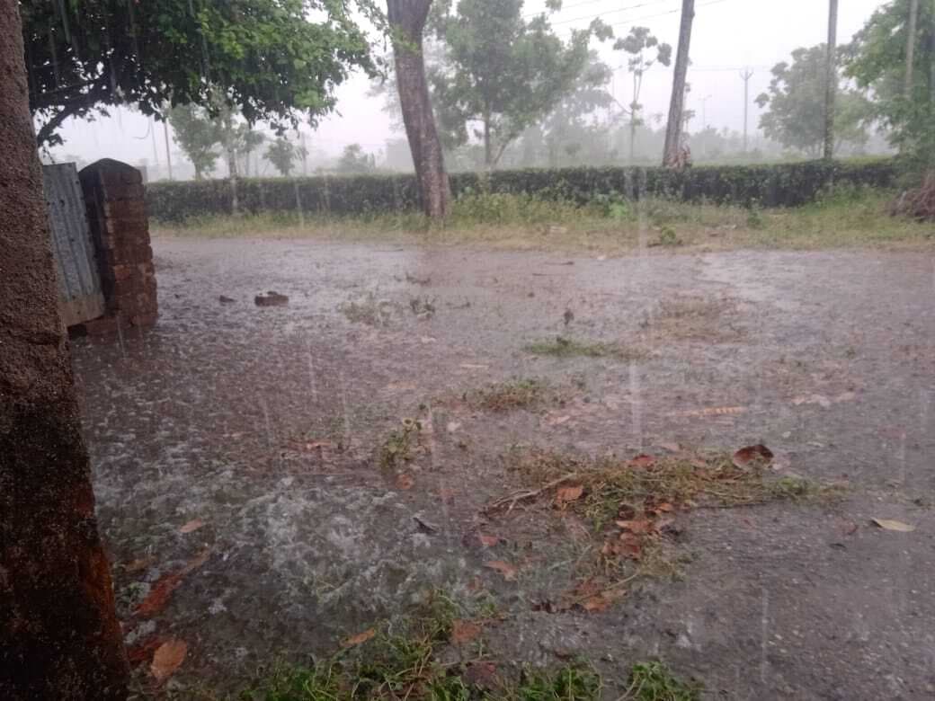 बारिश और तेज हवा से मौसम सुहाना, गर्मी से मिली राहत