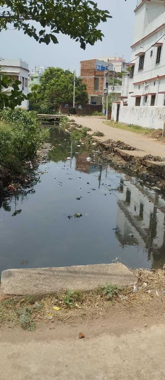 कचरे से भरा है हरिहरबाड़ी का बड़ा नाला