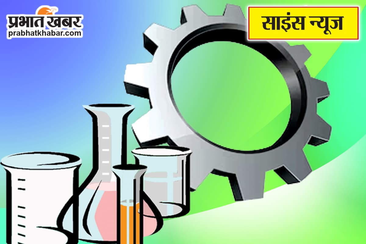विश्व संग्रहालय दिवस पर लगेगी प्रदर्शनी, क्यूरेटेड वॉक व पेंटिंग सत्र भी होंगे