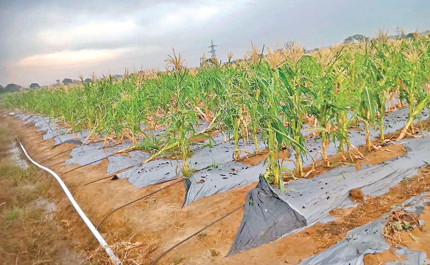 गर्मी से मिली राहत, 15 तक ऐसा ही रहेगा मौसम