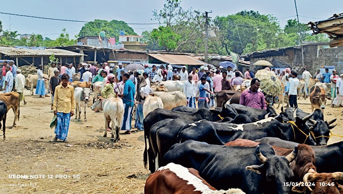 छत्तरगाछ हाट अतिक्रमणकारियों की चपेट में,संवेदक नहीं वसूल पा रहा राजस्व