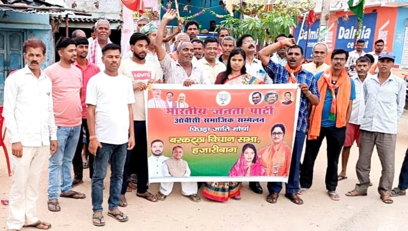 कपका गांव में भाजपा ओबीसी मोर्चा का सम्मेलन