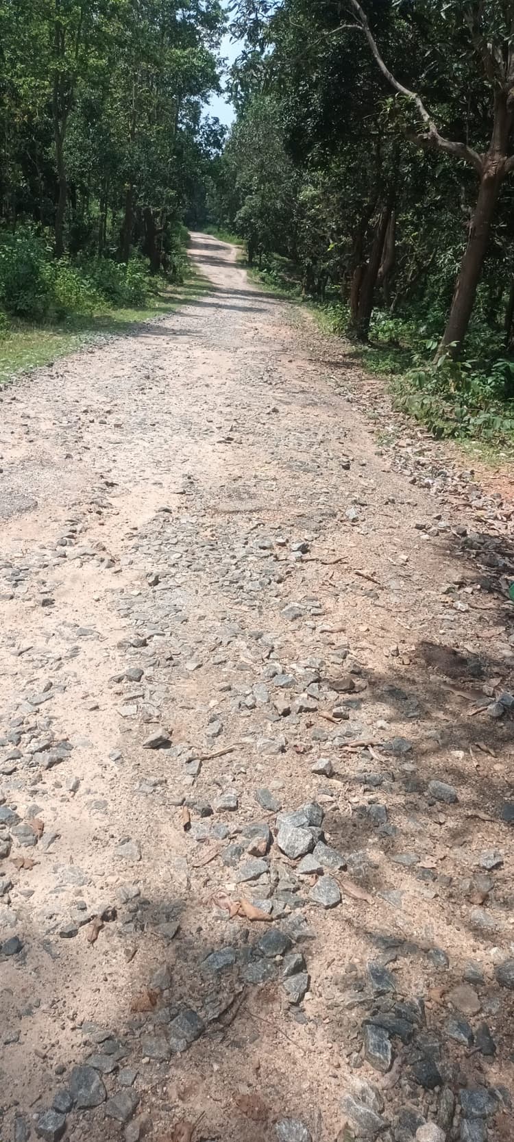 तपकारा से फटका जानेवाली सड़क जर्जर