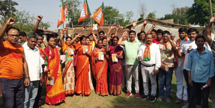 राज्यसभा सांसद ने डोर-टू-डोर चलाया अभियान