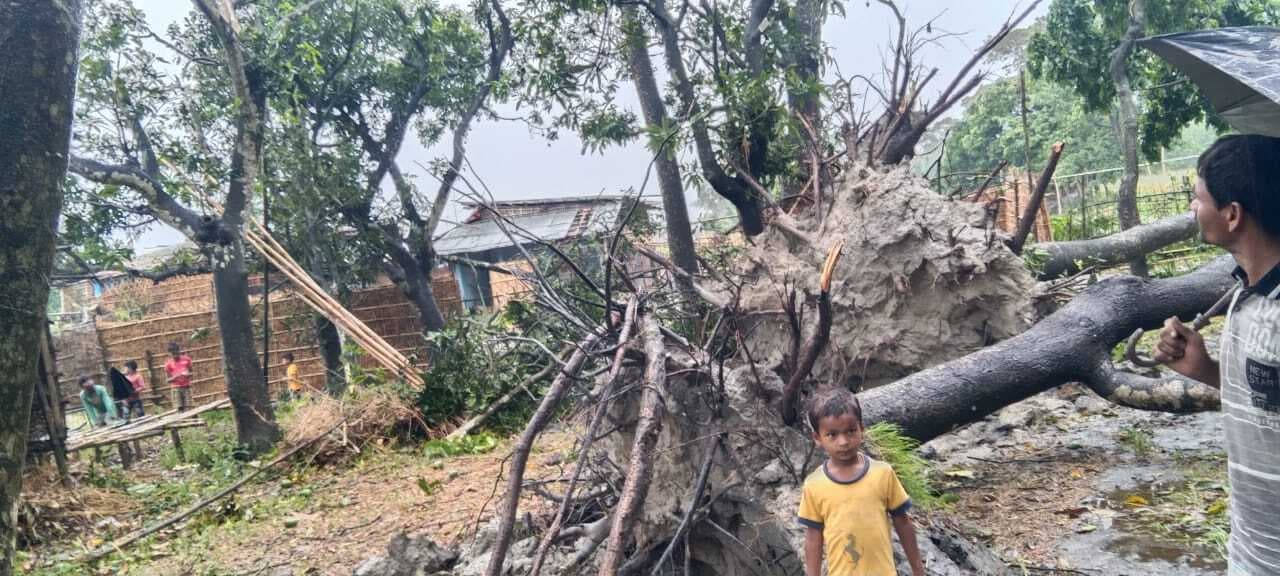 तेज आंधी व बारिश से कई घर उजड़े, पेड़ गिरने से यातायात हुआ बाधित