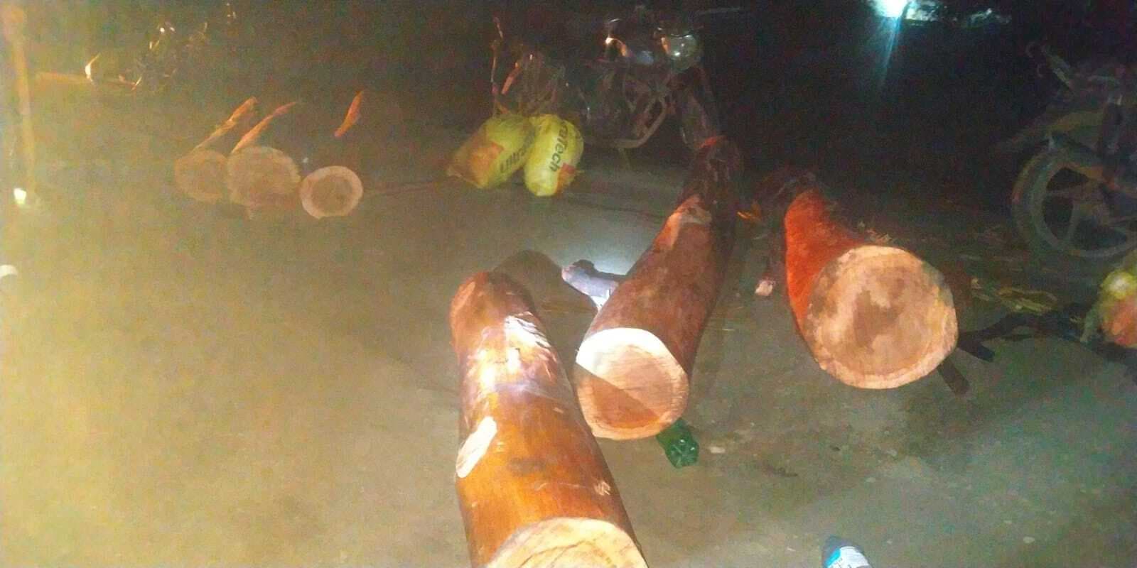 अवैध लकड़ी लदे तीन मोटरसाइकिल जब्त, गोपीकांदर के बूढ़ीचापड़ में वन विभाग ने की करवाई