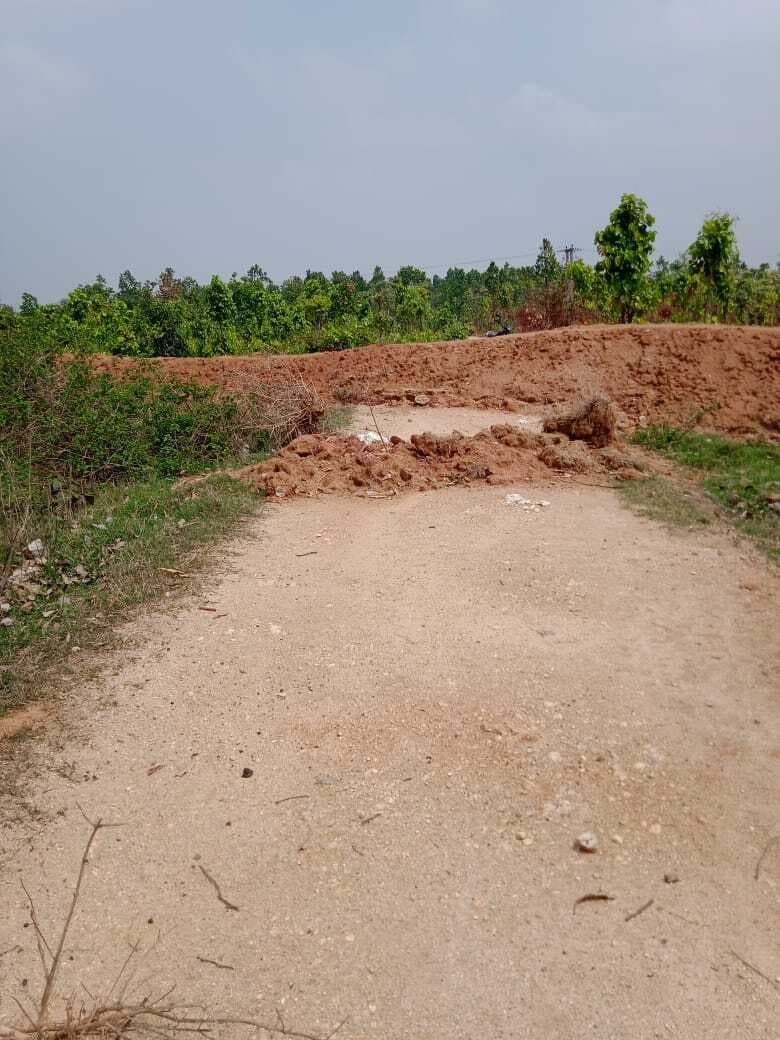 पेड़ लगाने के लिए वन विभाग ने सड़क पर ही खोदा ट्रेंच