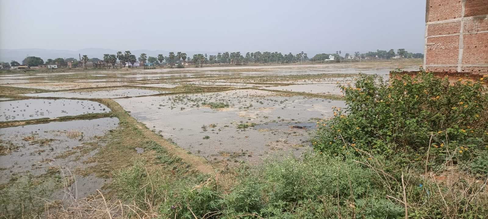 मौसम का बदला मिजाज, खेत-खलिहान में भरा पानी