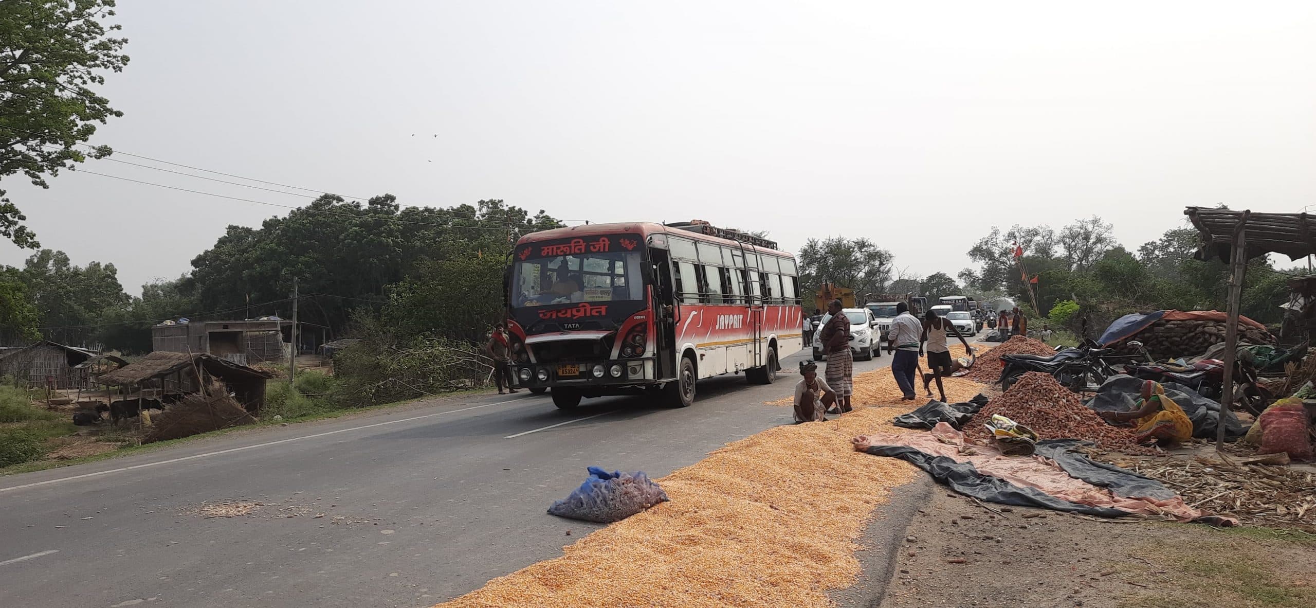 Bhagalpur News: हादसे को आमंत्रण दे रहा एनएच-31 पर सूख रहे मकई का दाना