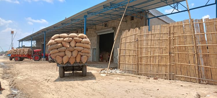 बांगलादेश व नेपाल तक जाता है सोनवर्षा का मक्का