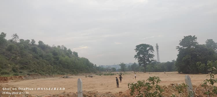 भुरकुंडा में बन रही है राज्य की सबसे बड़ी सखुआ की नर्सरी