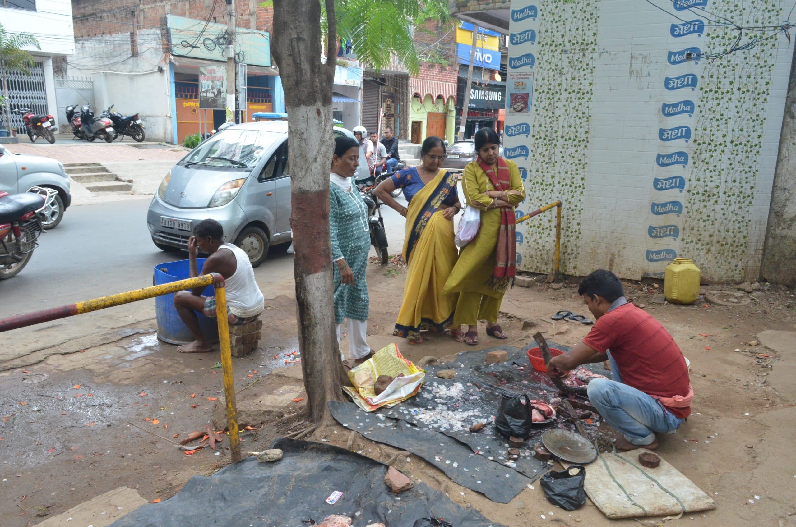 निगम ने बना दिया मछली मार्केट, फिर भी बाजाराें में हो रही बिक्री