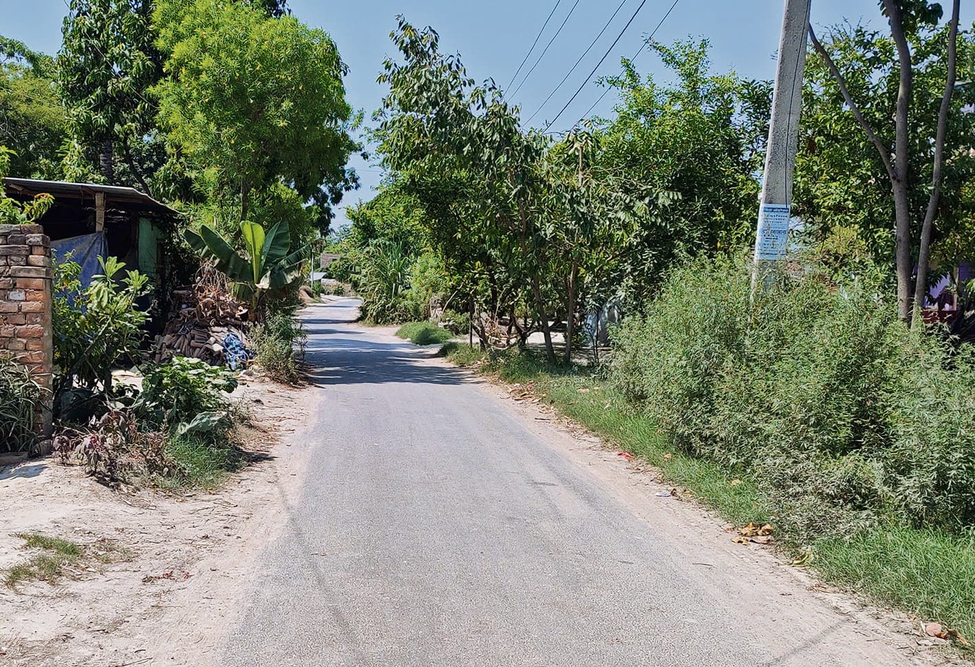 उमस भरी गर्मी से सड़कों पर दिख रहा कर्फ्यू जैसा नजारा