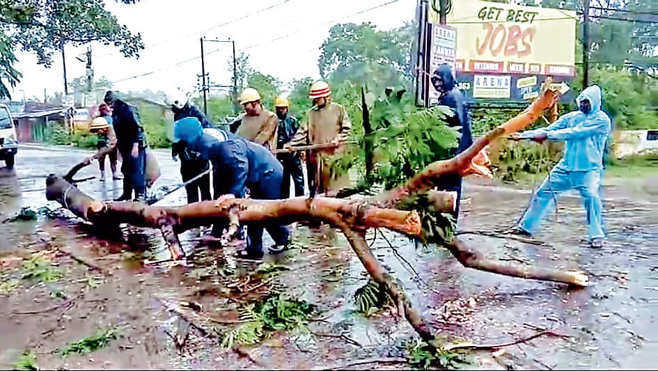 बंडेल में जीटी रोड पर पेड़ गिरने से यातायात बाधित