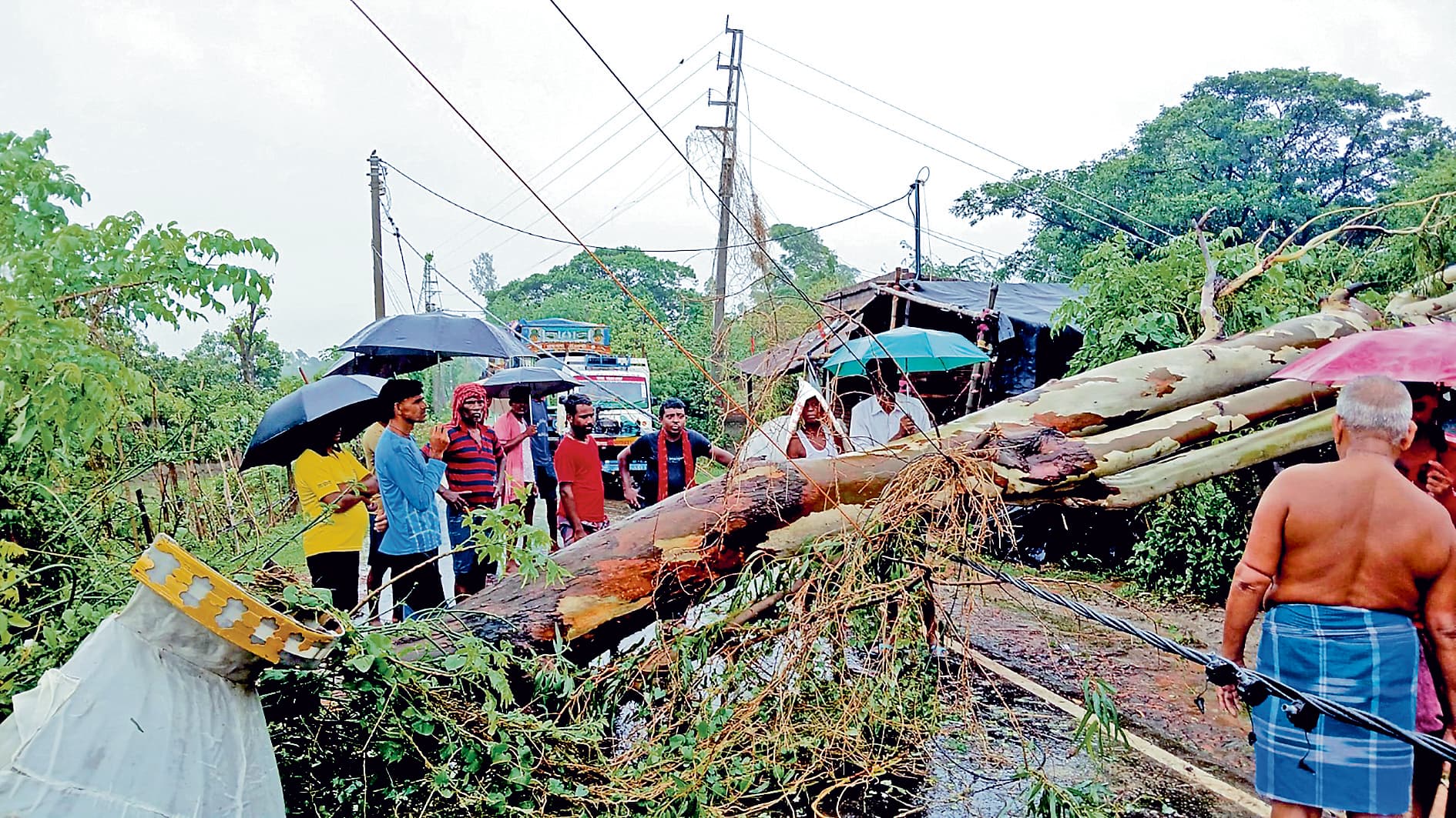 संदेशखाली : जगह-जगह गिरे पेड़ व बिजली के पोल