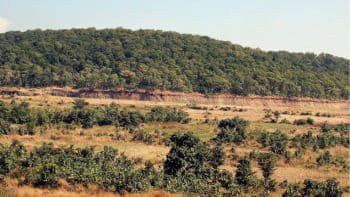 डीएफओ मैडम ! जंगल को बचायें, माफिया उजाड़ रहे हैं : रामदास सोरेन