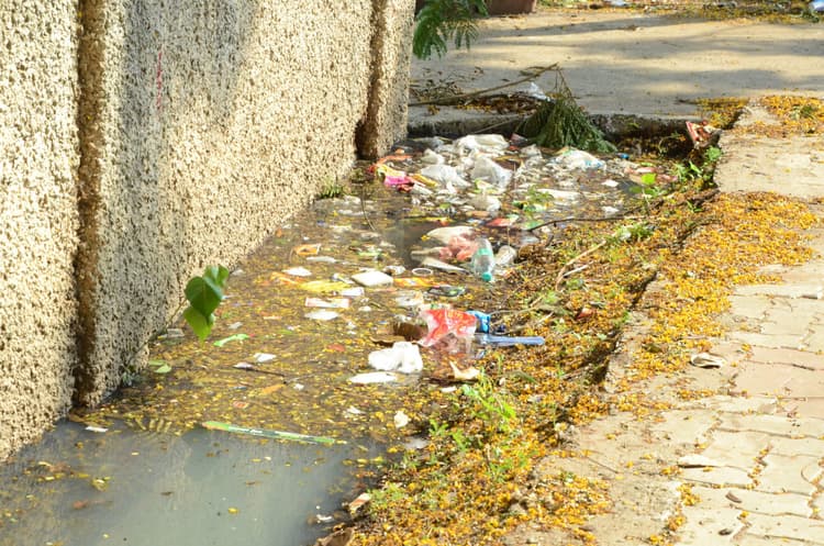 100 माइक्रोन से कम के सभी पॉलीथिन खतरनाक, फिर हो धड़ल्ले से हो रहा इस्तेमाल