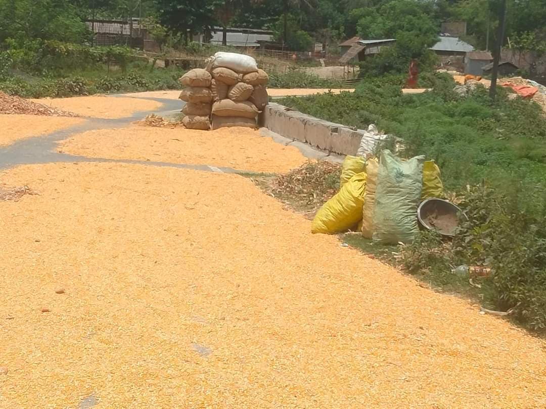 दो जून को होगा मॉक टेस्ट