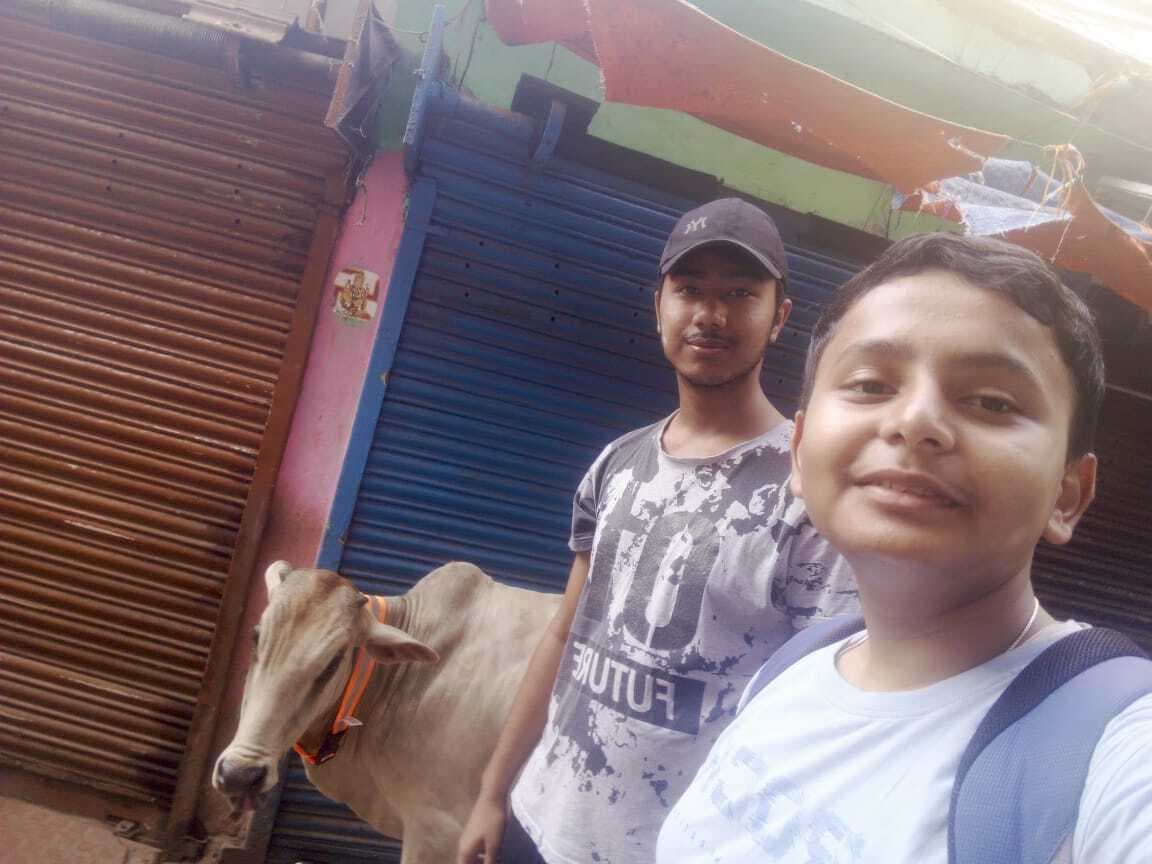 दुर्घटना से बचाने के लिए मवेशियों को रेडियम बेल्ट पहना रहे दो छात्र