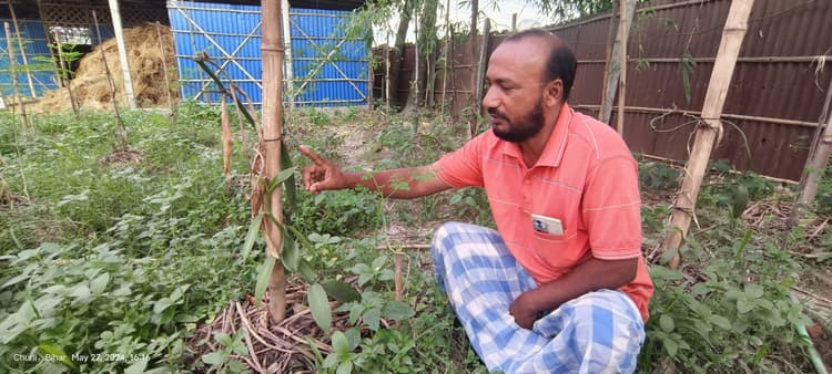 ठाकुरगंज में कृषकों ने शुरू की वनीला की खेती, हो सकता है जबर्दस्त मुनाफा