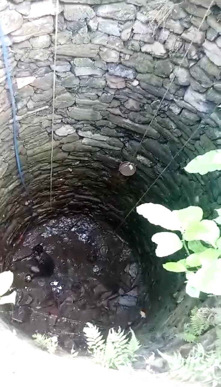 तीन किमी दूर से नाले का पानी लाकर पीते हैं ज्वार पहाड़पुर के लोग