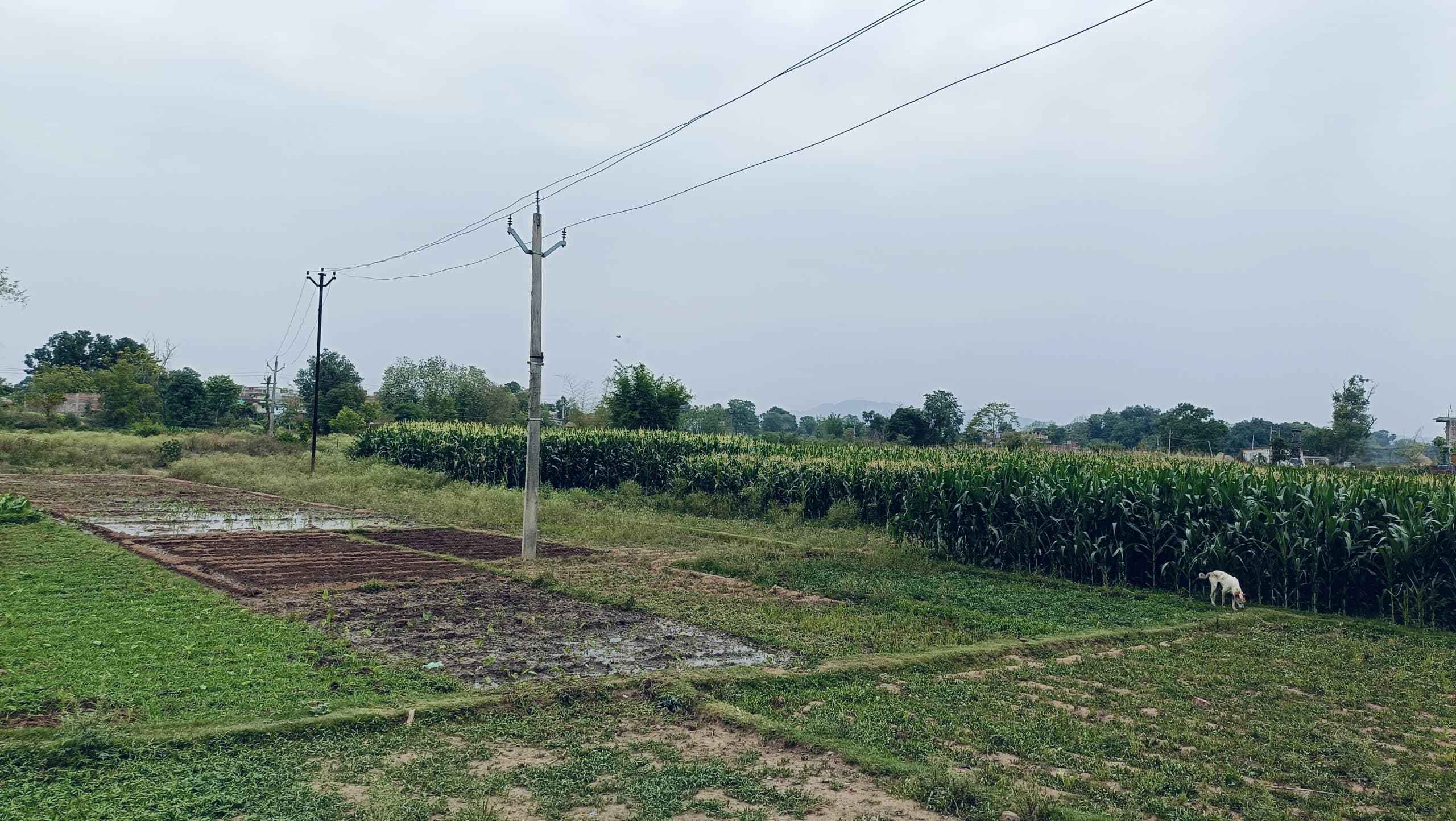 भीषण गर्मी का कर्फ्यू...सुबह 10 बजे ही सड़कों पर सन्नाटा