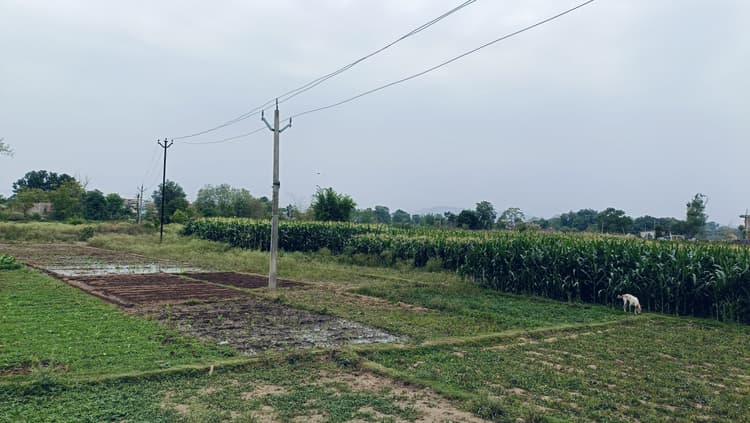 भीषण गर्मी का कर्फ्यू...सुबह 10 बजे ही सड़कों पर सन्नाटा