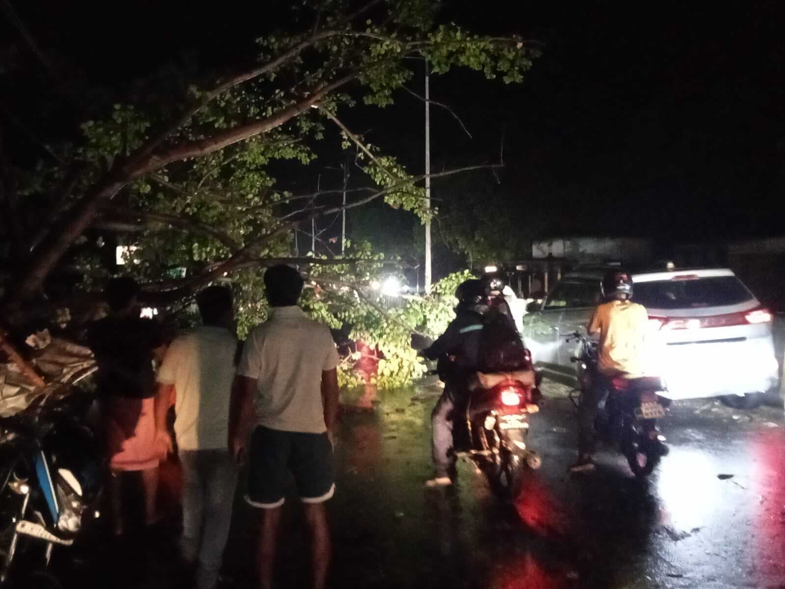 झरिया में गिरे पेड़, टूटे बिजली तार, ब्लैकआउट