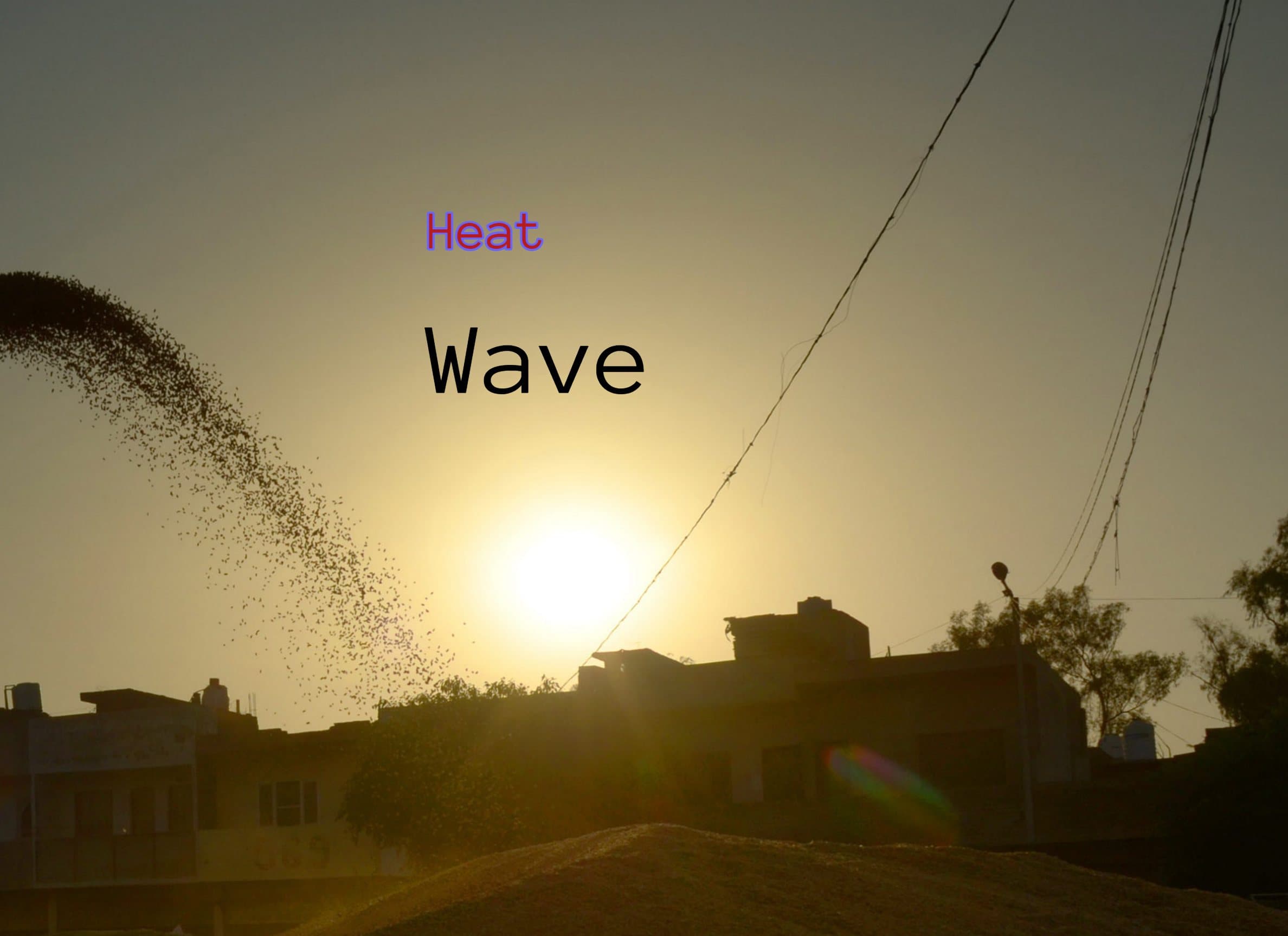 Weather Forecast: गर्मी से कई राज्य के लोग परेशान, दिल्ली में चलेगी लू, जानें आज कैसा रहेगा मौसम