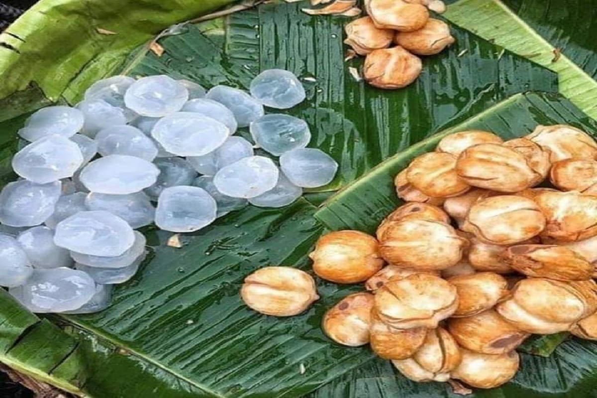 Benefits Of Ice Apple: गर्मियों में ठंडक देने के अलावा आपकी सेहत के लिए काफी फायदेमंद है ताड़गोला का फल