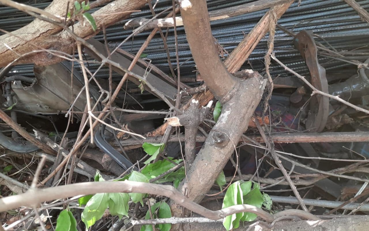 Latehar News: चंदवा में सरिया लदा ट्रक 100 फीट गहरी खाई में गिरा, चालक-खलासी की मौत