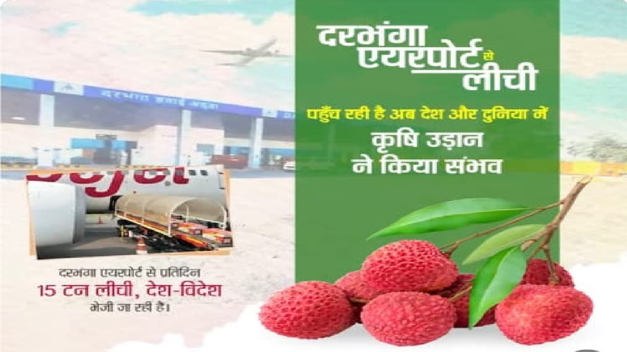ज्योतिरादित्य सिंधिया ने मुजफ्फरपुर की लीची का लिया अपडेट, दरभंगा से 15 टन प्रतिदिन का दिया टारगेट