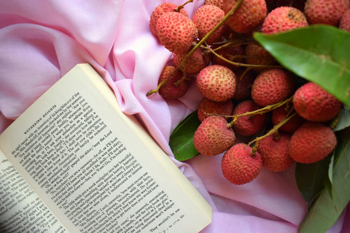 Benefits of Lychee: एक दिन में कितना लीची खाना सही? जानें इसके अमेजिंग बेनिफिट्स