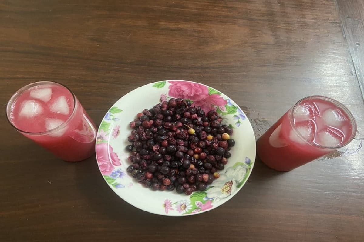 Benefits Of Drinking Phalsa Juice: गर्मियों में दाग-धब्बे व मुहांसे से निजात पाने के लिए रोजाना पिएं फालसे का जूस