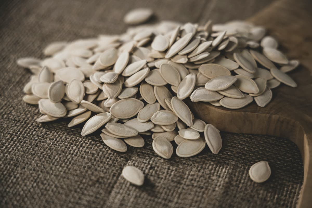 Pumpkin Seed: बोन हेल्थ से लेकर हार्ट तक का ख्याल रखते हैं पंपकिन सीड्स, जानें इसके अन्य फायदे