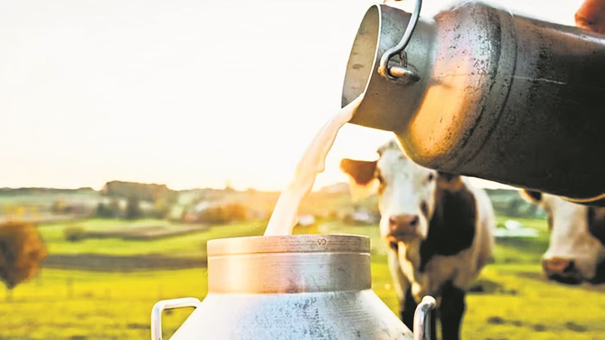 दुग्ध उत्पादन ने पूर्णिया में दिये स्वरोजगार के नये अवसर, उद्योगों को मिला बढ़ावा