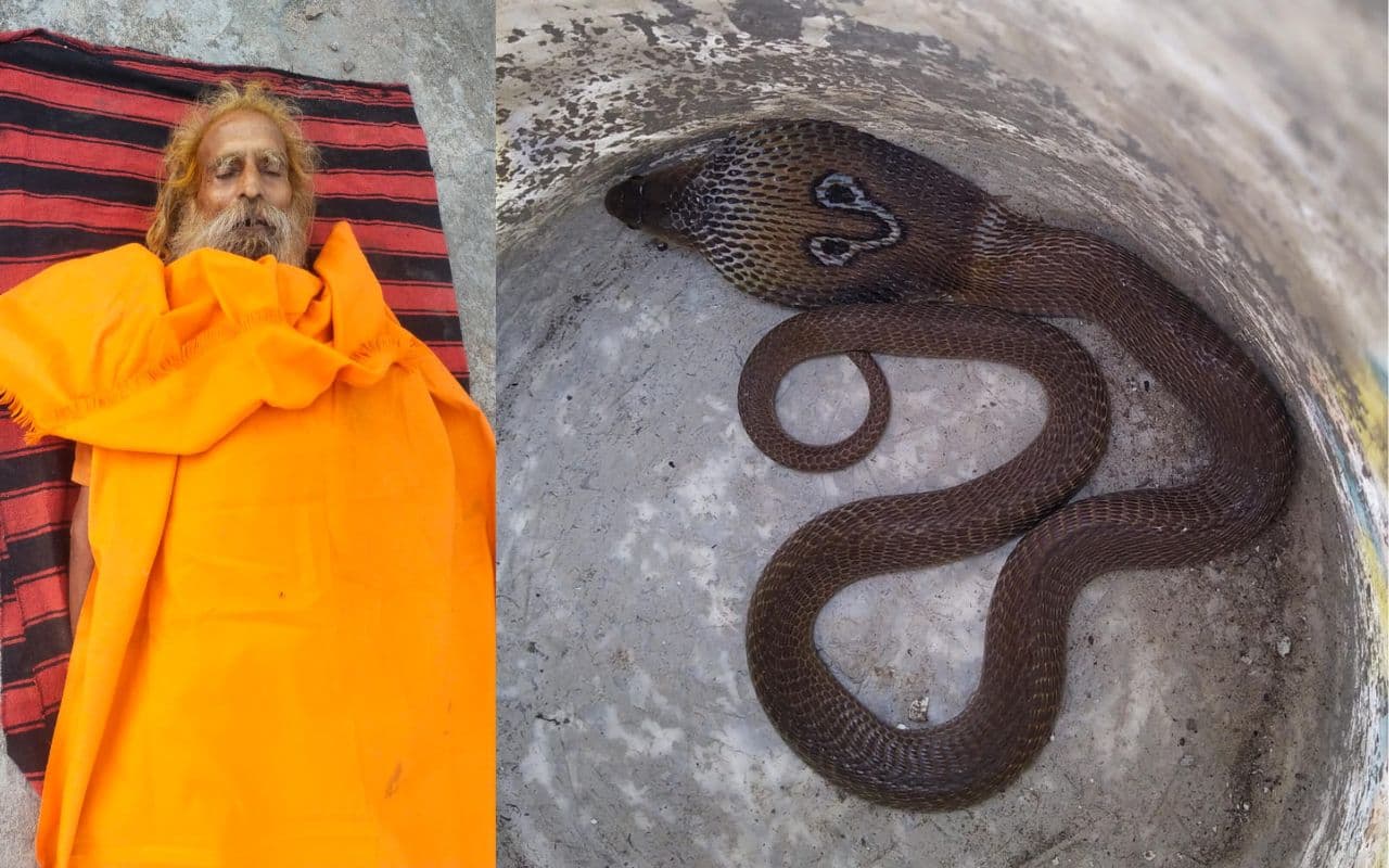 Ranchi News: शिवलोक धाम मरासिल्ली पहाड़ पर नागा साधु महंत लाल गिरी को सांप ने डंसा, हो गई मौत