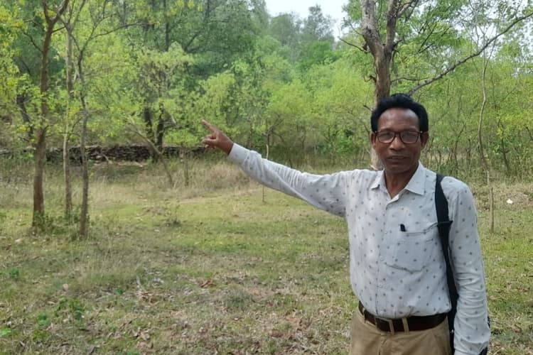 जमशेदपुर के बीरप्रताप मुर्मू में पर्यावरण संरक्षण का जुनून ऐसा कि डुंगरी पर 12 हजार से अधिक पौधे लगाकर ला दी हरियाली