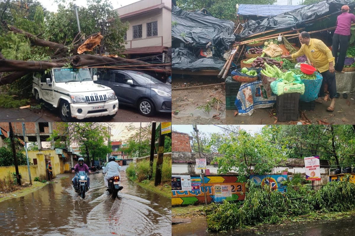 Jharkhand Weather: धनबाद में घने बादलों से दिन में छाया अंधेरा, आंधी के साथ झमाझम बारिश, कई जगहों पर गिरे पेड़