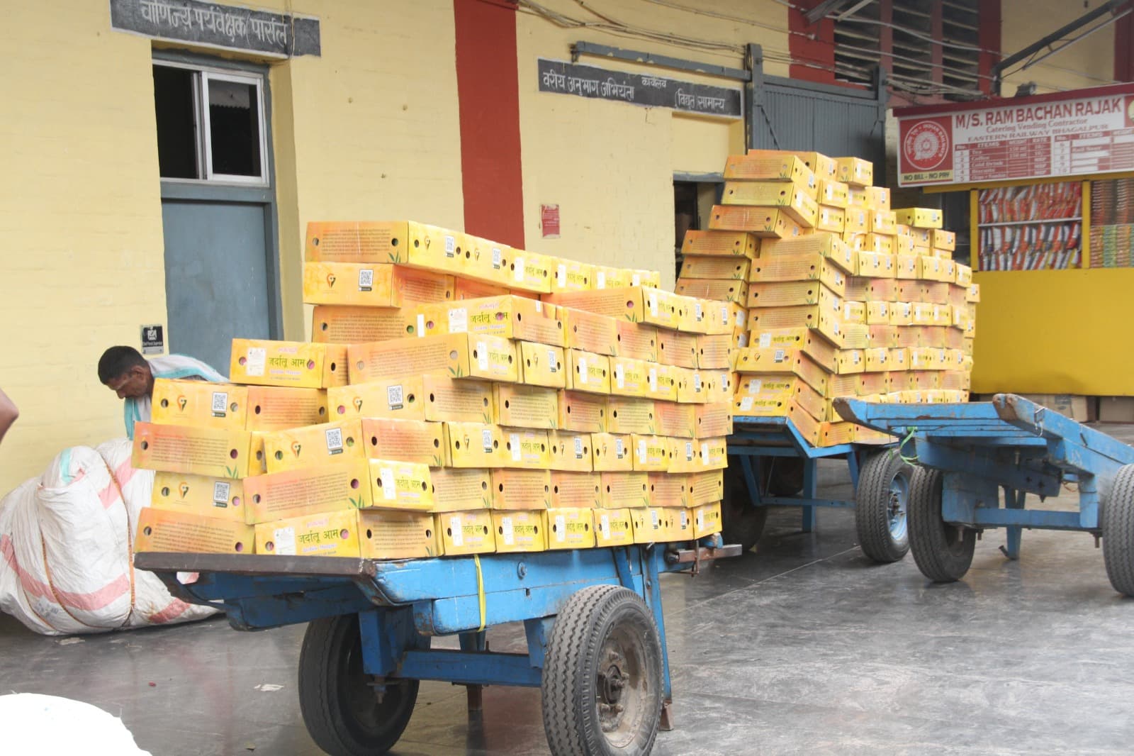 भागलपुर का जर्दालू चखेंगे माननीय, 2000 पैकेट में 100 क्विंटल भेजा गया दिल्ली